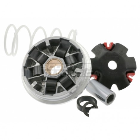 Variator Malossi Multivar
