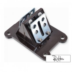 Reedvalve Stylepro Racing Carbon (PGO-Genuine)