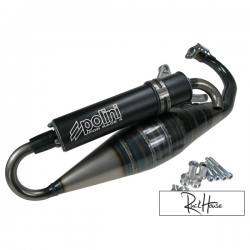 Exhaust System Polini For Race 4 Minarelli Horizontal