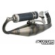 Exhaust Malossi MHR Team II