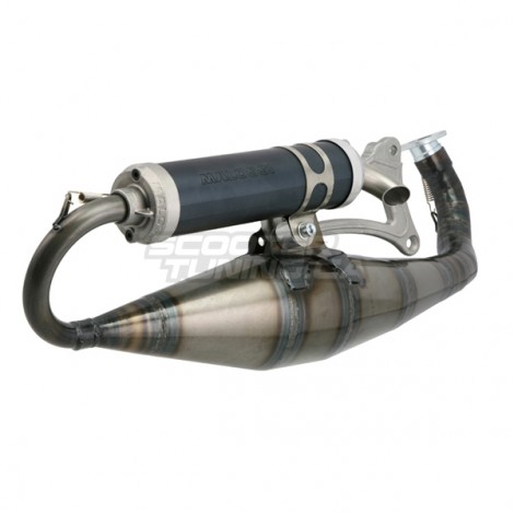 Exhaust Malossi MHR Team II