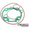 Gasket set Malossi Sport/Replica 70cc LC