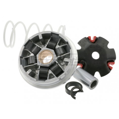 Variator Malossi MULTIVAR