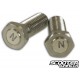 Magnetic Screws Stage6 M10x1.25