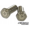 Magnetic Screws Stage6 M10x1.25