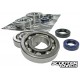 Crankshaft bearings Naraku