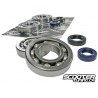 Crankshaft bearings Naraku