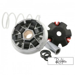 Variator Malossi Multivar Aprilia SR50 Morini