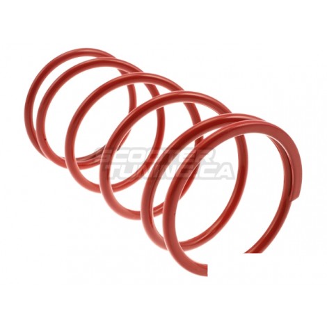 Torque spring (red) Malossi Racing