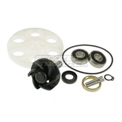 Water Pump Replacement Parts Motoforce (Rebuilt kit)