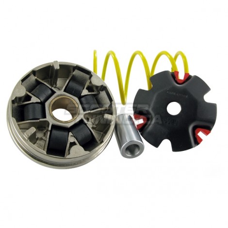 Variator Malossi Multivar