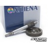 Primary gear kit Athena 15/50