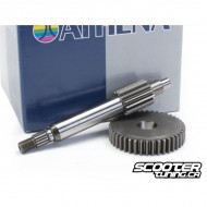 Gear Primaire Athena 14/42 Minarelli 