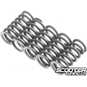 Clutch Spring Malossi MHR