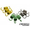 Clutch Springs Polini