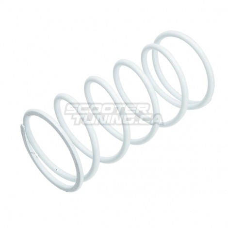 Torque spring doppler white