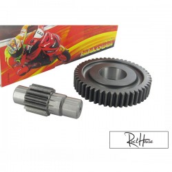Gear Secondaire Malossi 13/48 (Piaggio)