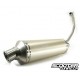 Exhaust Malossi MHR Wild Lion (CBR125R)