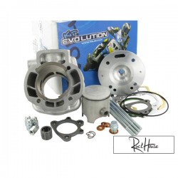 Cylinder Polini Evolution 4 70cc Piaggio LC