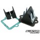 Reed Valve Polini Racing