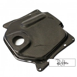 Plastique de Reservoir D'essence NCY Carbon Honda Ruckus