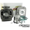 Cylinder kit Malossi SPORT 70cc