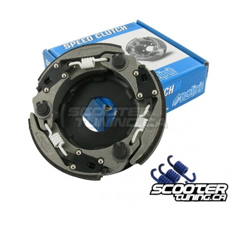Clutch Polini For Race 3 107mm