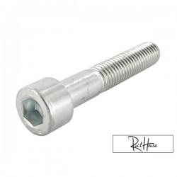 Shock Absorber Top Bolt Motoforce M10x55 (Piaggio)