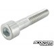 Shock Absorber Bolt Motoforce M10x55 (Piaggio)