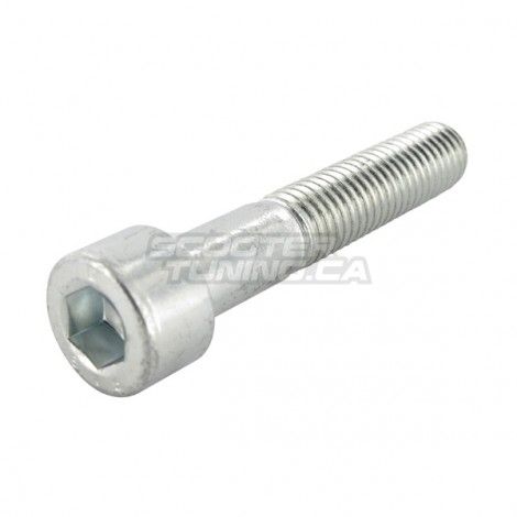 Shock Absorber Bolt Motoforce M10x55 (Piaggio)