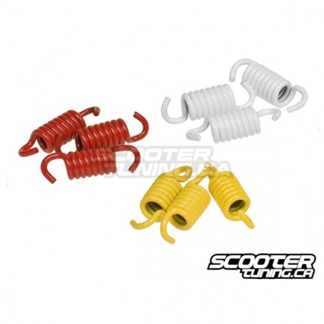 Clutch Springs Malossi Racing (Maxiscooter)