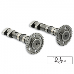 Camshaft Malossi Double Power Yamaha T-Max