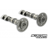 Camshaft Malossi Double Power