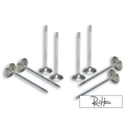 Increased 4 Stroke Valves Malossi Yamaha T-Max