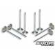 Increased 4 Stroke Valves Malossi
