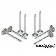 Increased 4 Stroke Valves Malossi Yamaha T-Max