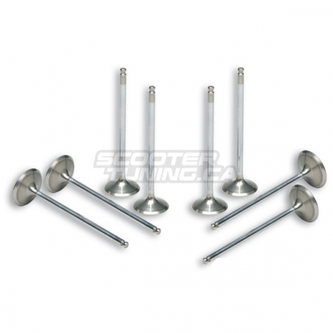 Increased 4 Stroke Valves Malossi