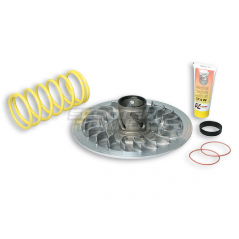 Torque Driver Malossi MHR