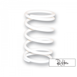 Torque Spring Malossi white (11,95K) Yamaha T-Max