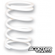 Torque Spring Malossi white (11,95K)