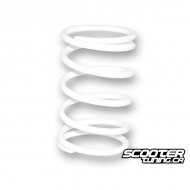 Torque Spring Malossi white (11,95K) Yamaha T-Max