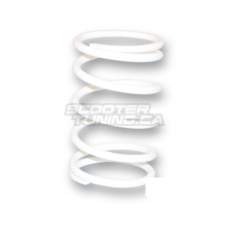 Torque Spring Malossi white (11,95K)