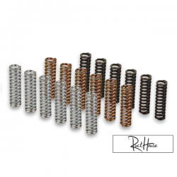 Clutch Spring Set Malossi Racing Yamaha T-Max