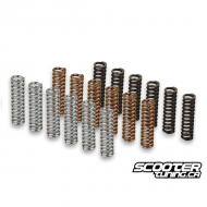 Clutch Spring Set Malossi Racing Yamaha T-Max