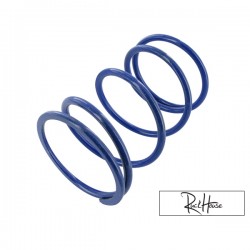 Torque Spring Polini Honda Ruckus 50