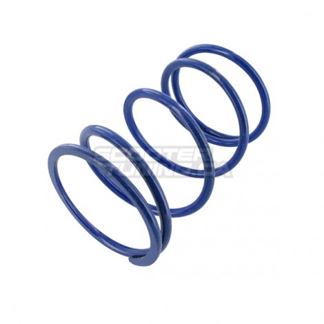 Torque Spring Polini Honda Zoomer 50