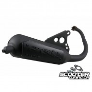 Exhaust Malossi Wild Lion Minarelli Vertical