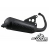 Exhaust Malossi Wild Lion