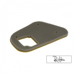 Filtre en Mousse
 (Genuine / PGO)