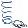 Torque Spring Polini Evo Slider 3,6mm